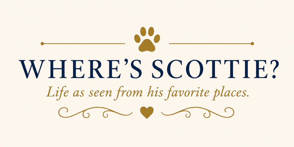 Where’s Scottie? Life as seen from his favorite places.