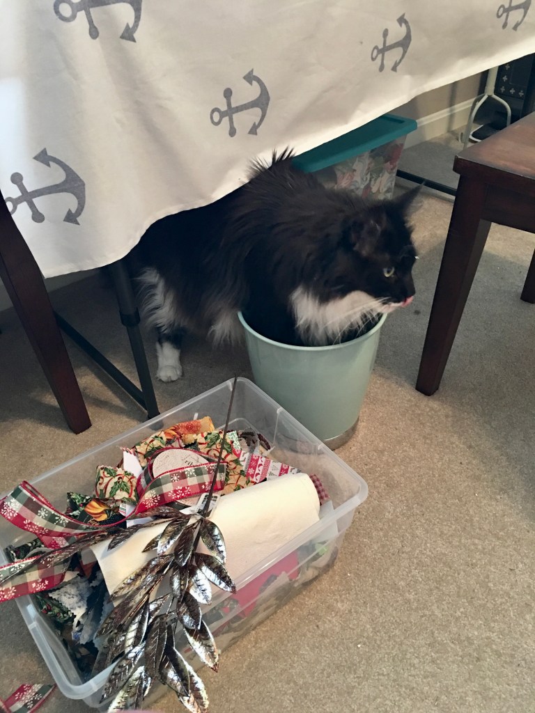 Scottie sitting in a small trash can beside the craft table while I worked on fabric decoupaged pumpkins.