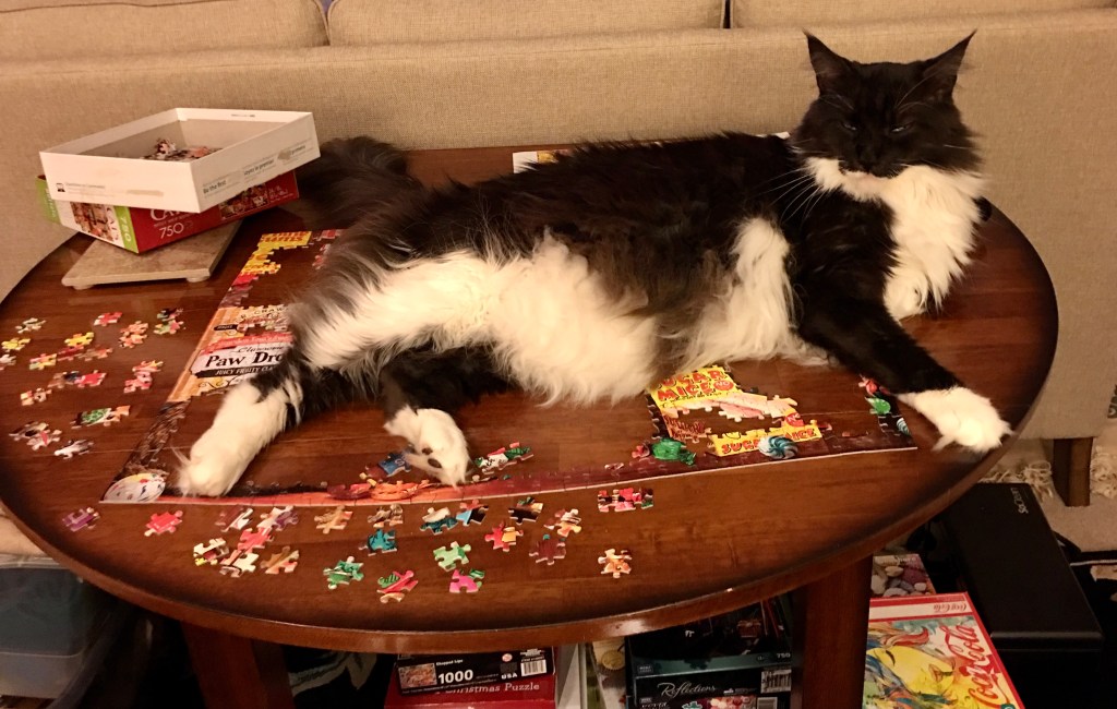 Puzzle Helper