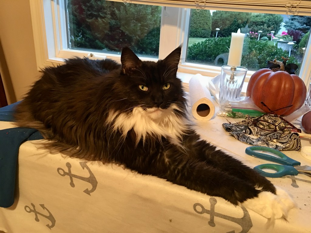 Pumpkin Helper